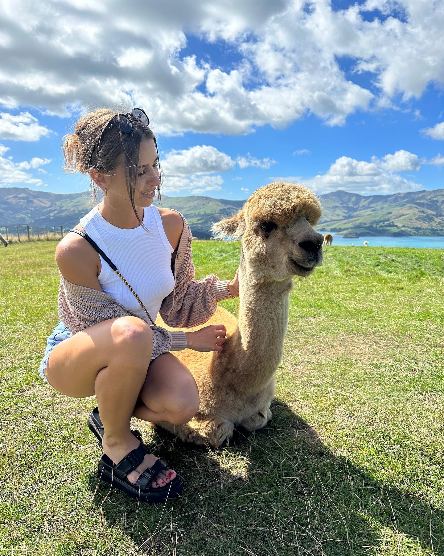 Cherie Daniels #50253