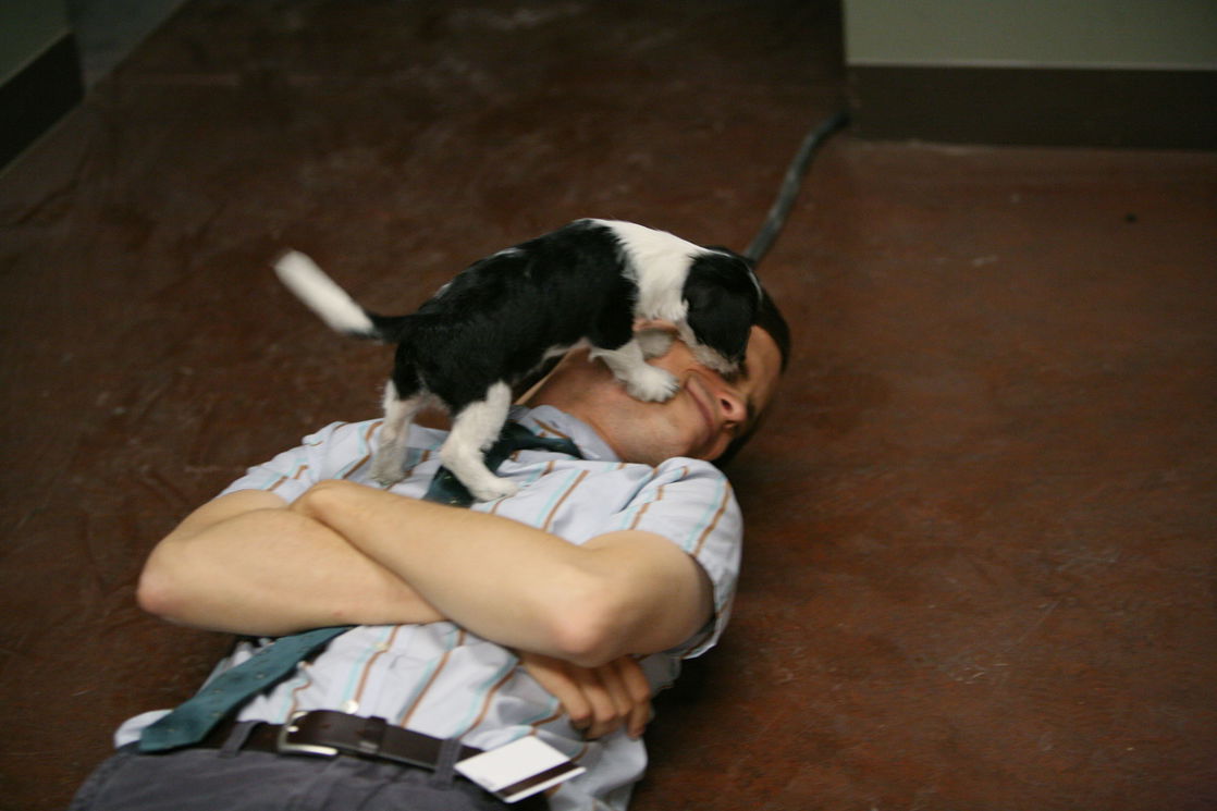 Matthew Gray Gubler #162248