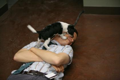 Matthew Gray Gubler photo 162248