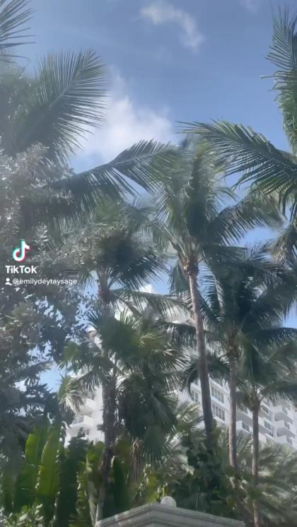 Emily Grace photo 39595