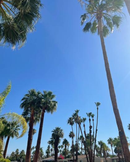 Emily Grace photo 39600