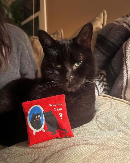 Emma Sophia Kotos photo 39652