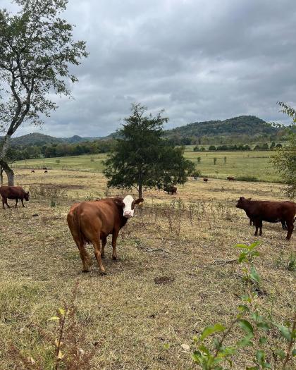 Emma Sophia Kotos photo 39672