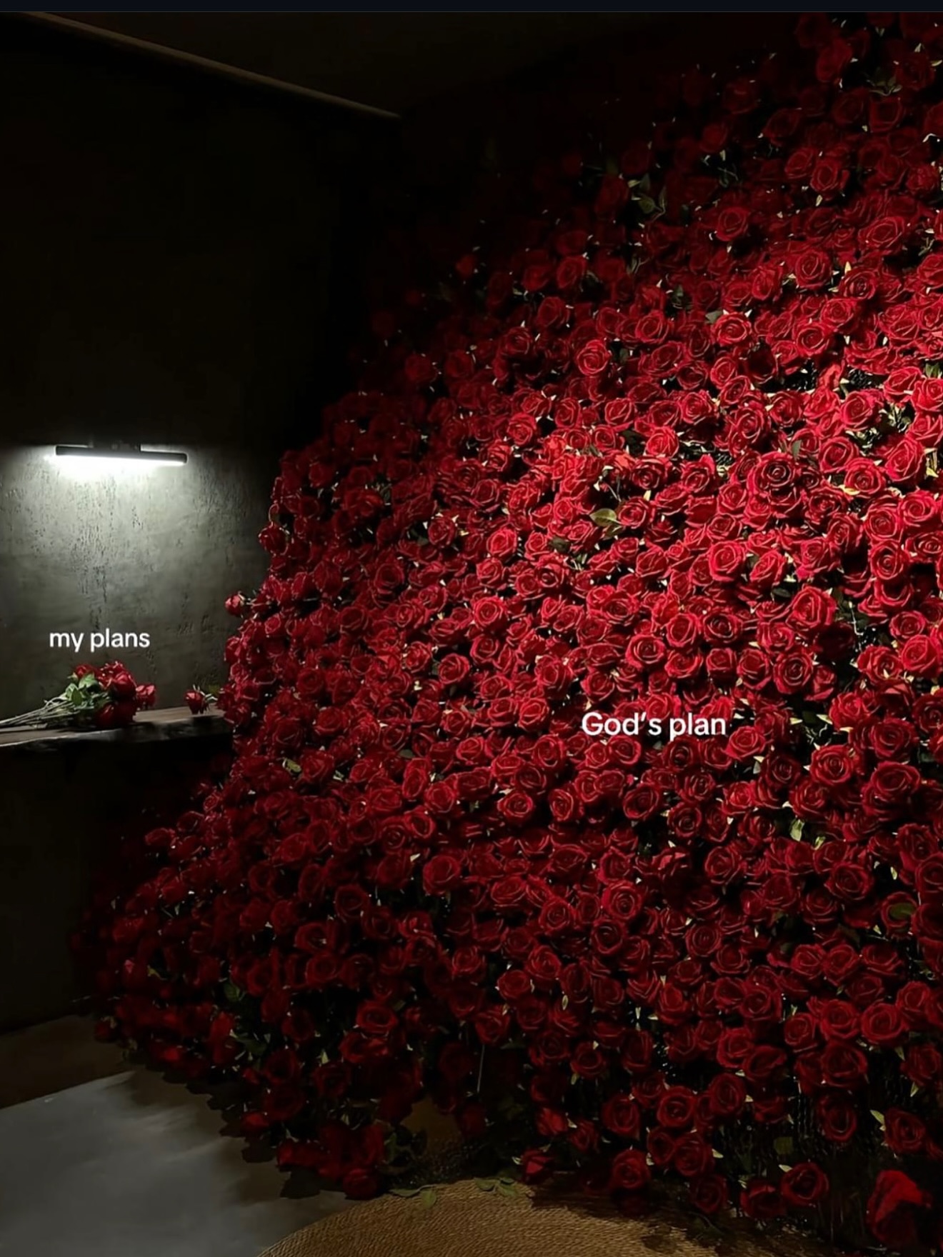 Maria Arzola #169681