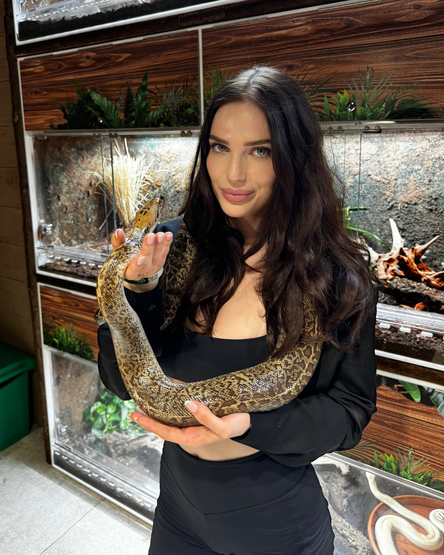 Reislin Maje #171305