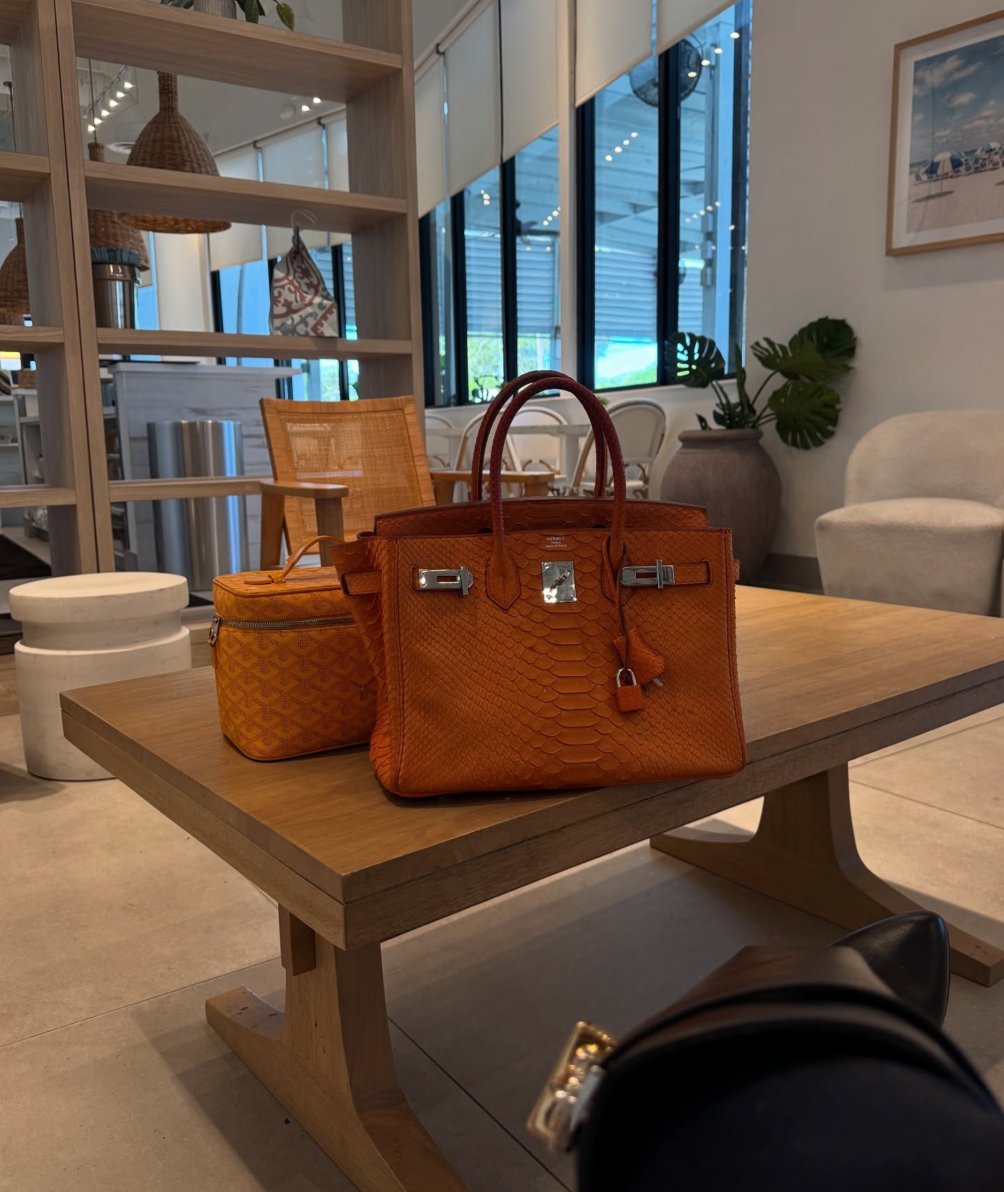 Maria Rivero #172370