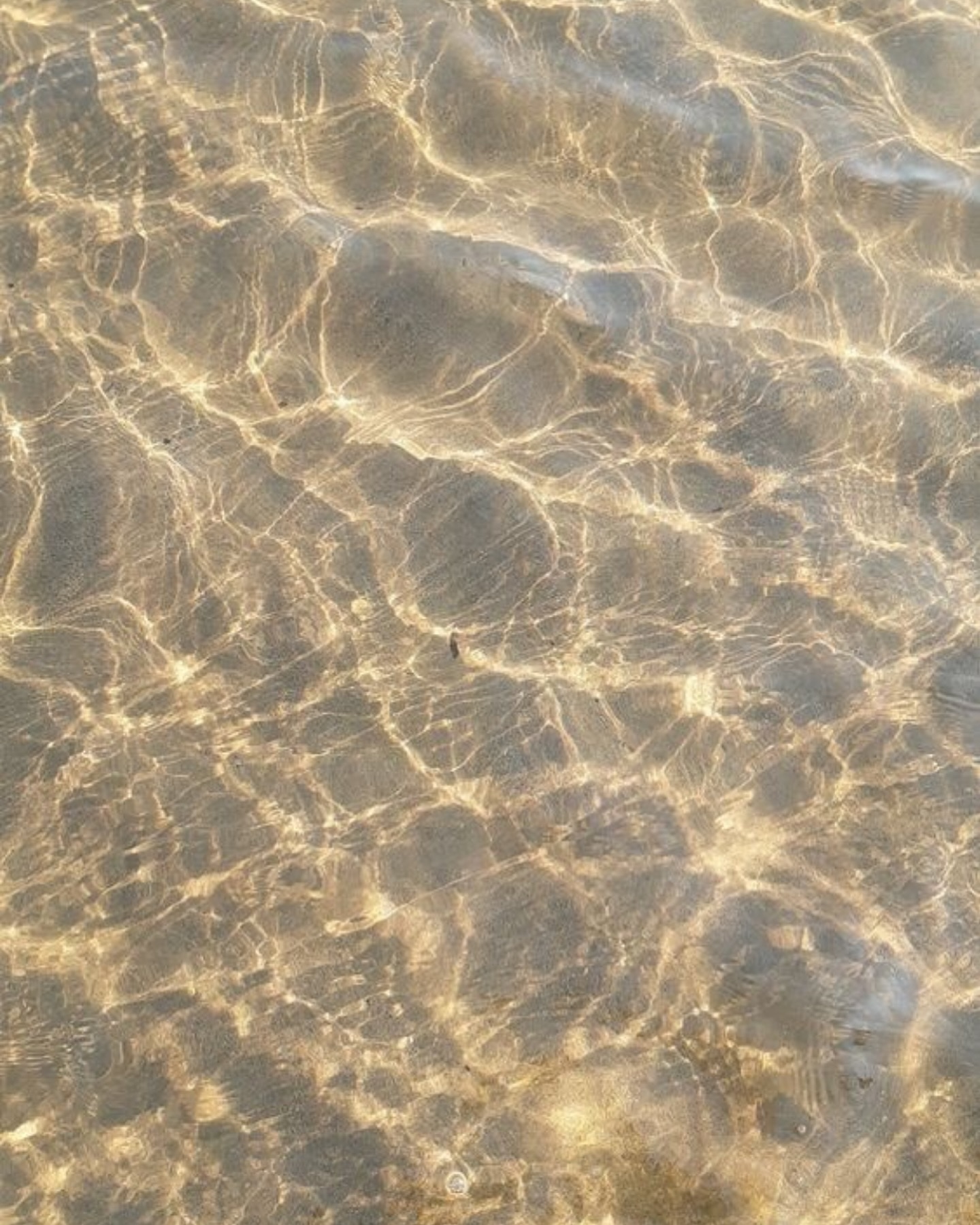 Nienke van Schijndel #51163