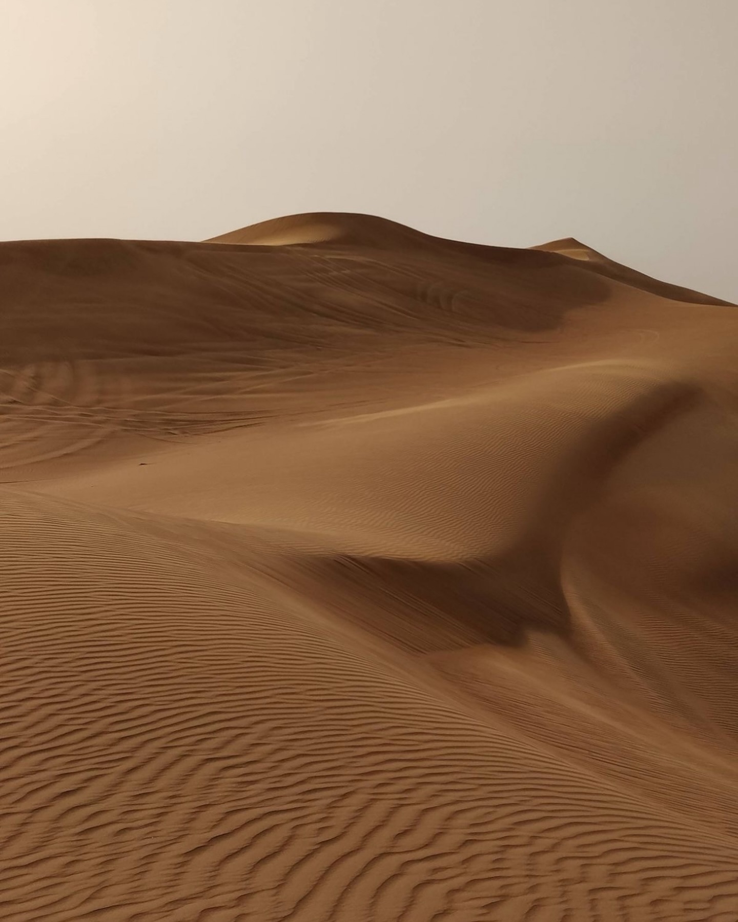 Nienke van Schijndel #51182