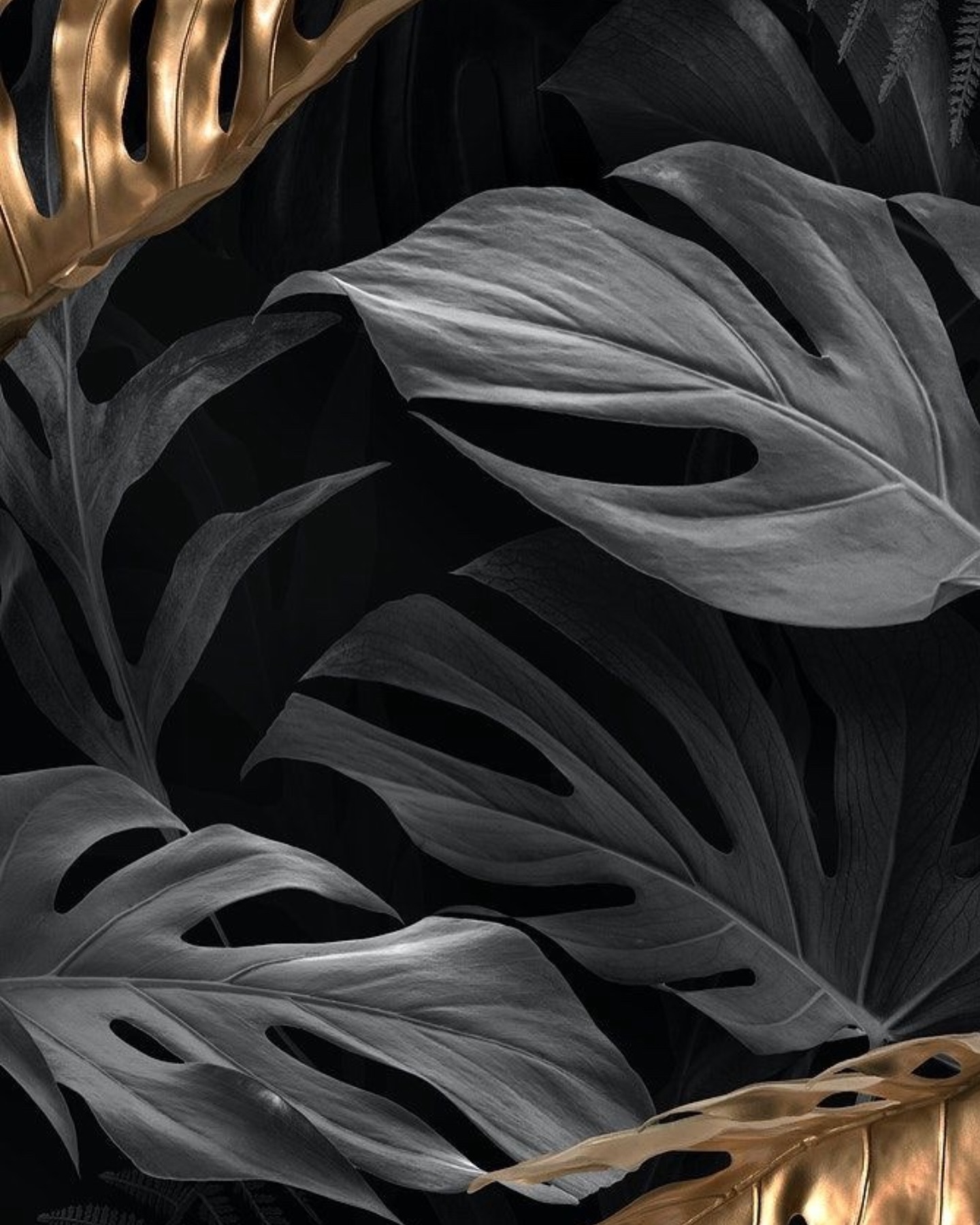 Nienke van Schijndel #51191