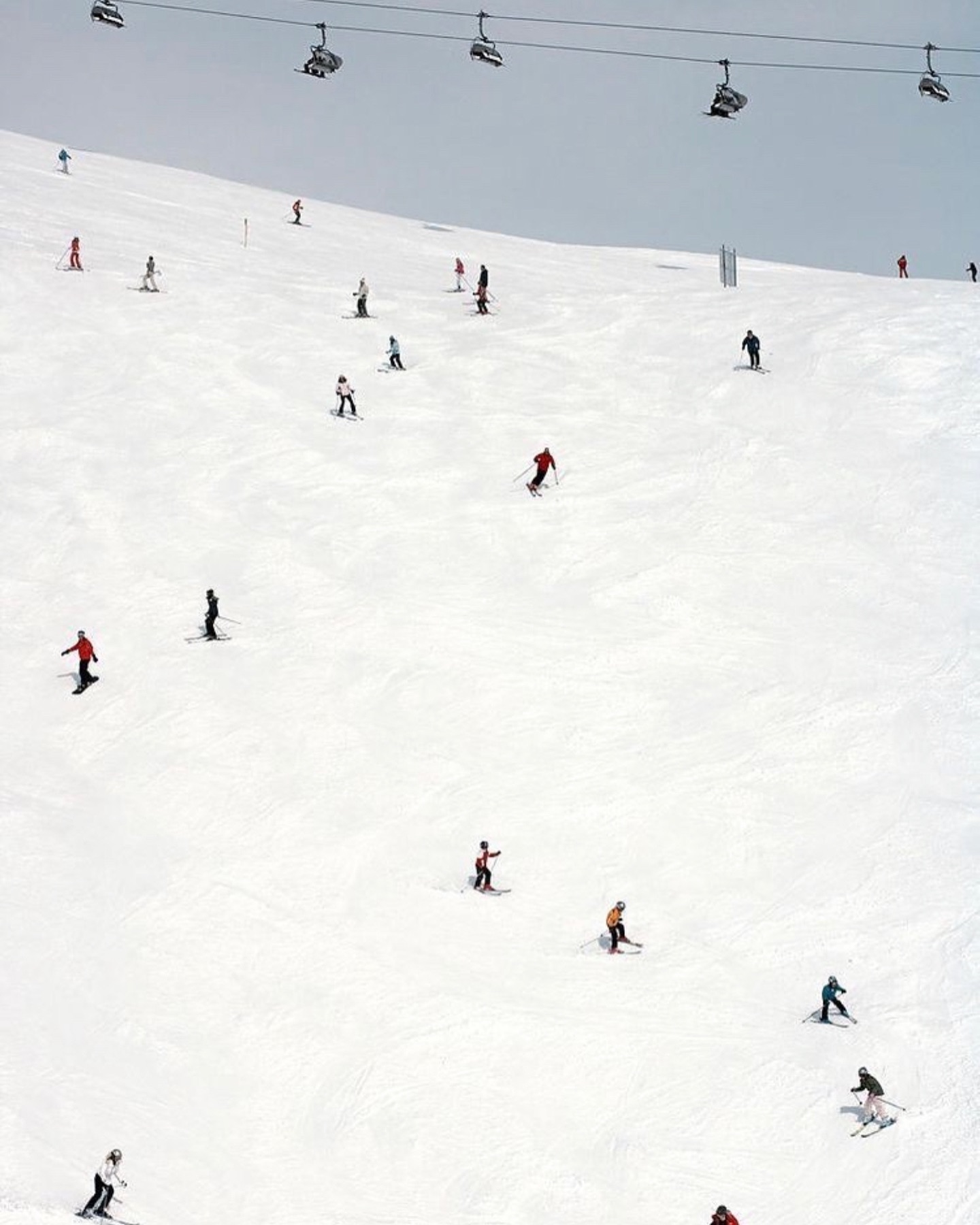 Nienke van Schijndel #51204