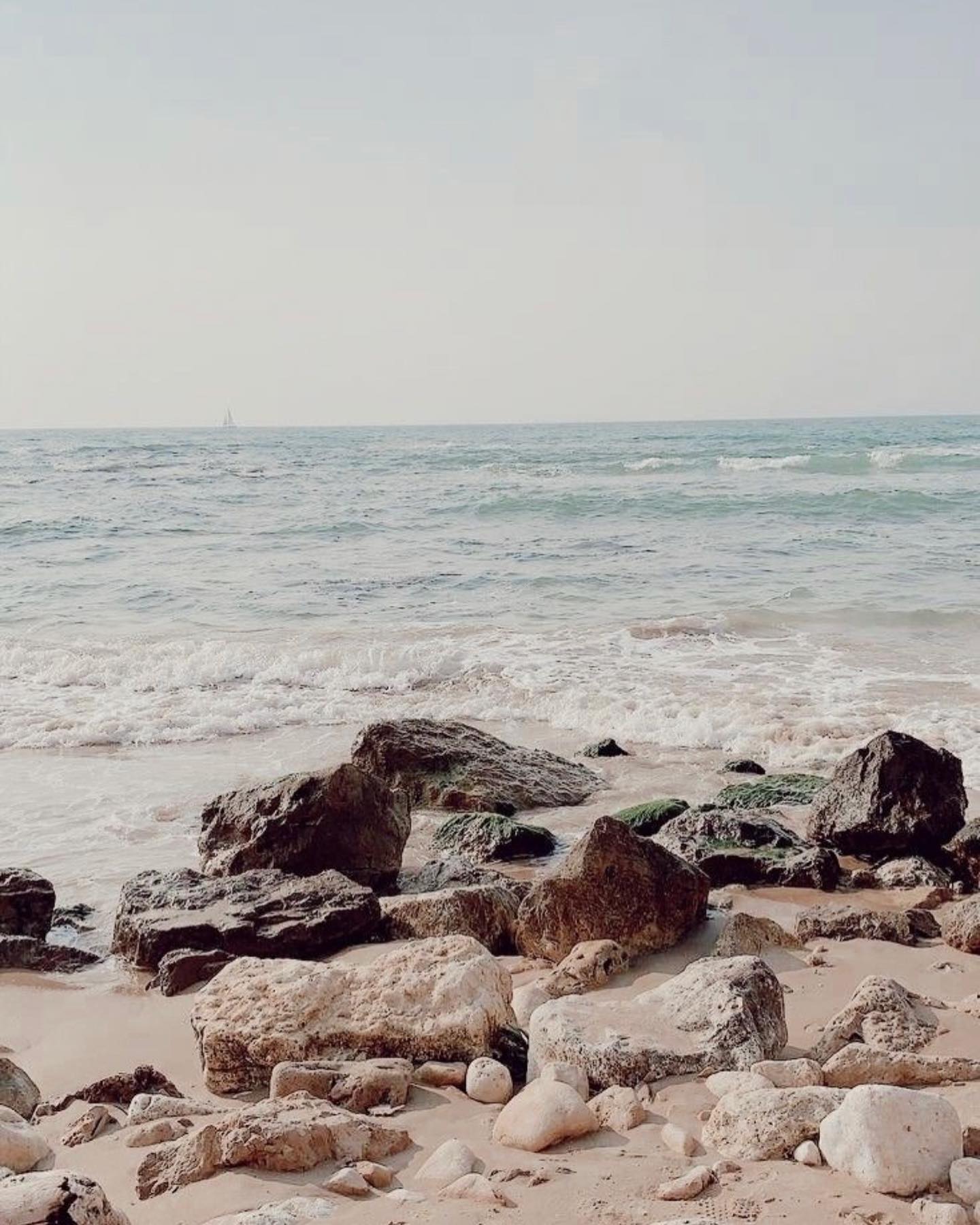 Nienke van Schijndel #51220