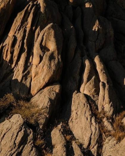 Nienke van Schijndel photo 51126