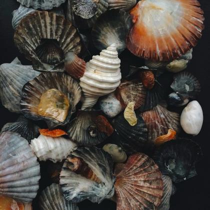 Nienke van Schijndel photo 51127