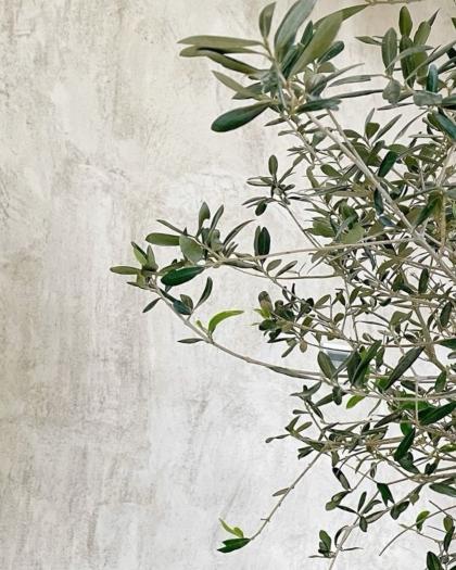 Nienke van Schijndel photo 51129