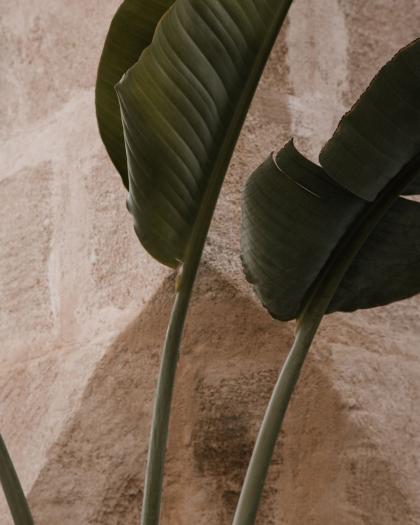 Nienke van Schijndel photo 51132