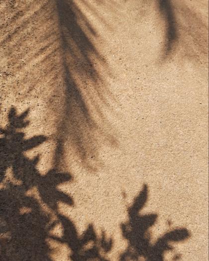 Nienke van Schijndel photo 51137