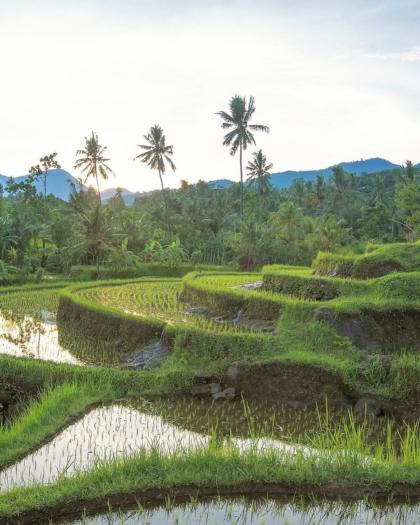 Nienke van Schijndel photo 51161