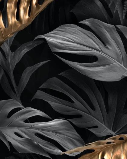 Nienke van Schijndel photo 51191