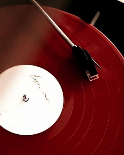 Nienke van Schijndel photo 51202