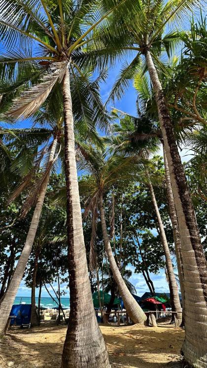 Anna Buluchevskaya photo 29792