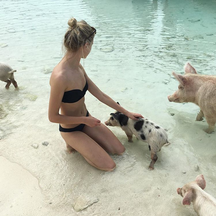 Adeele Rassel #183035