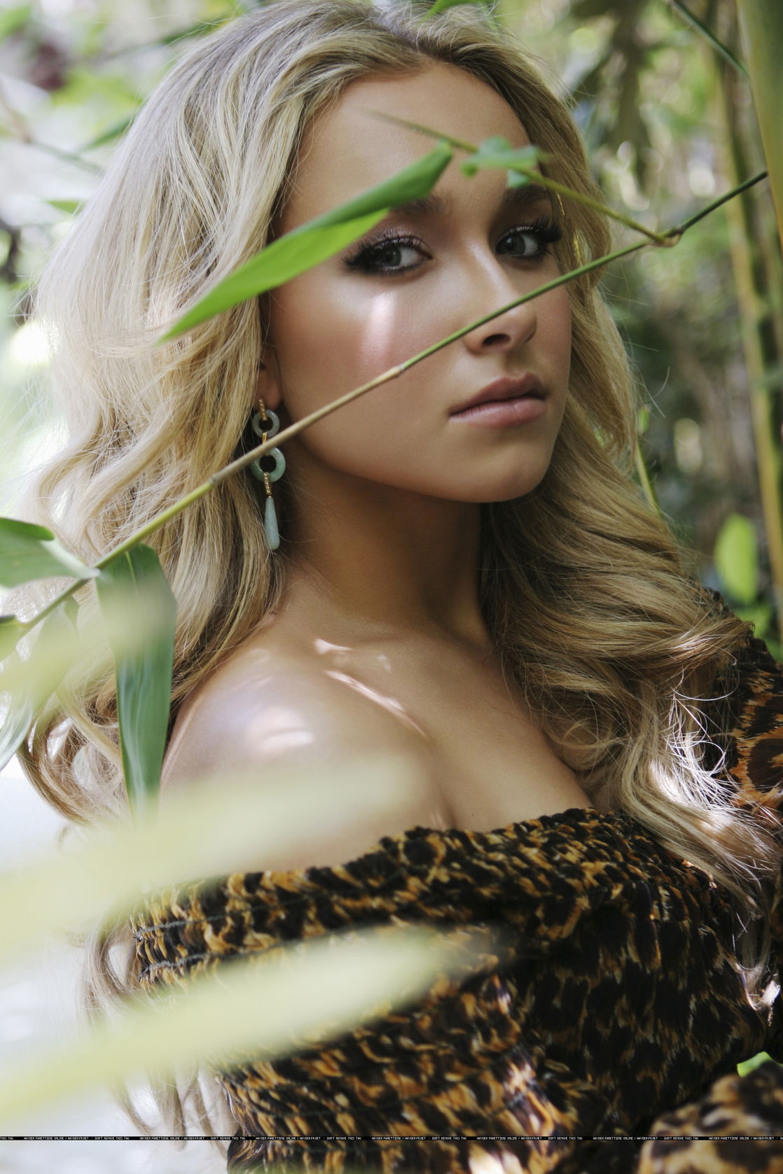 Hayden Panettiere #185106