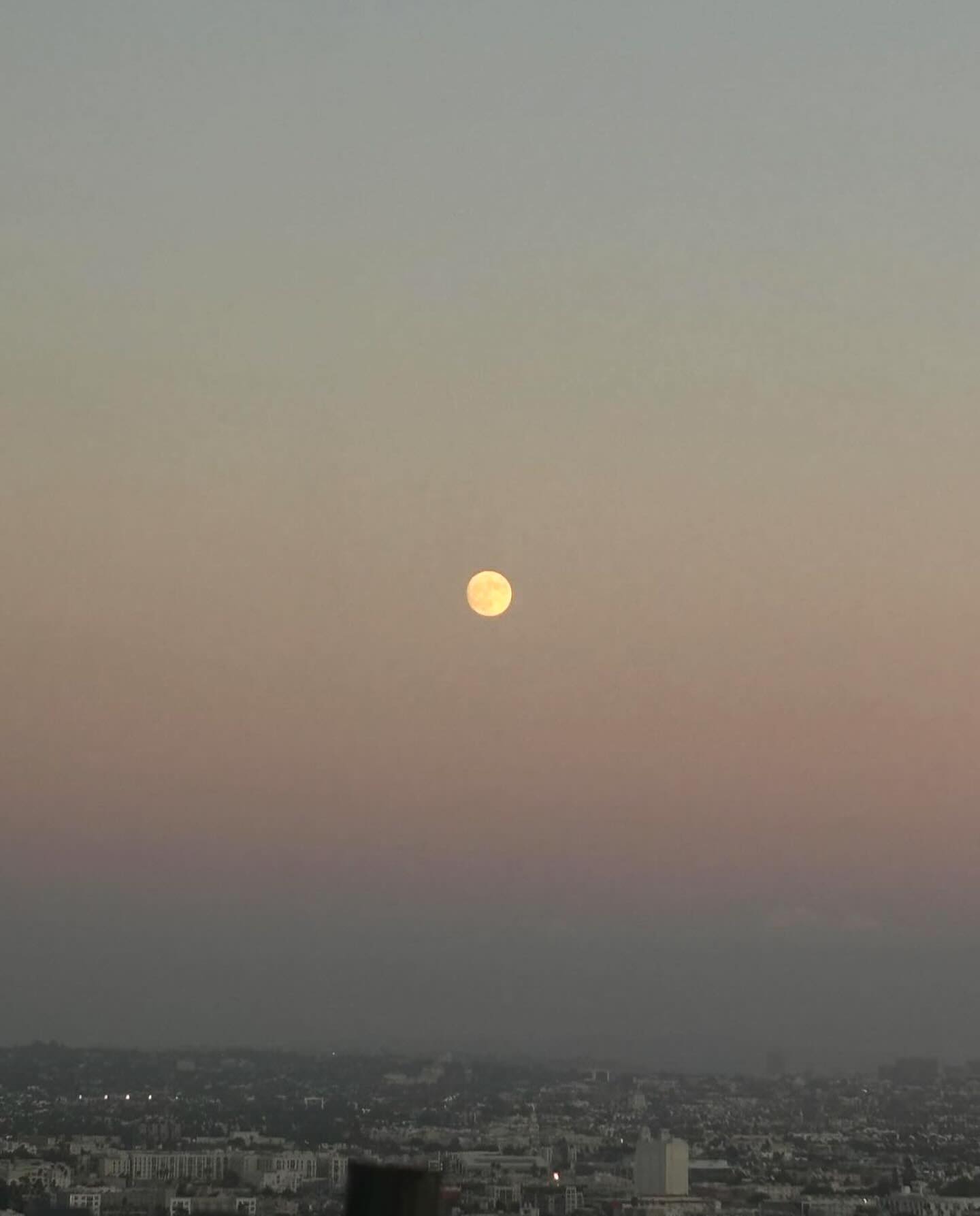 Ariana Grande #52002