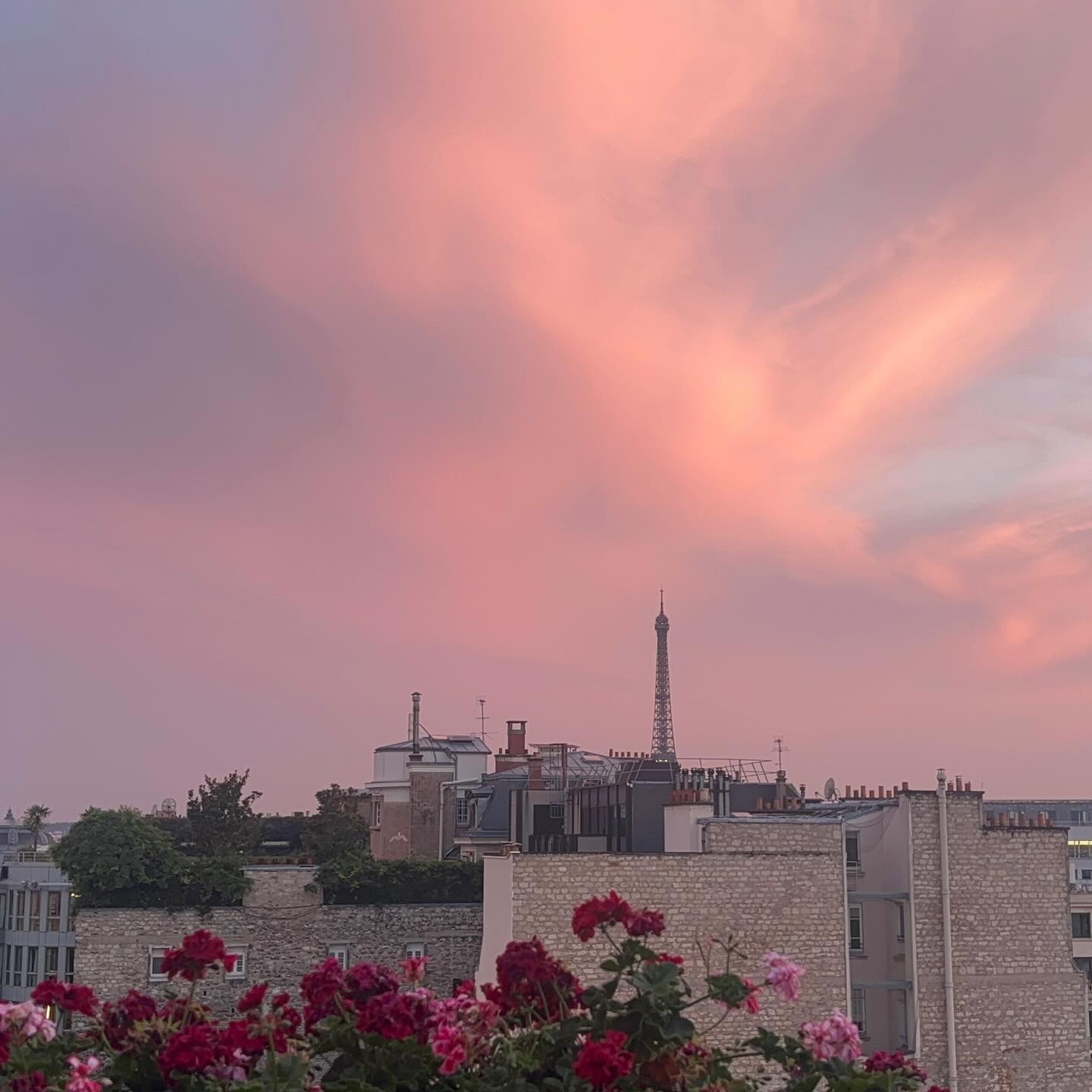 Ariana Grande #52019