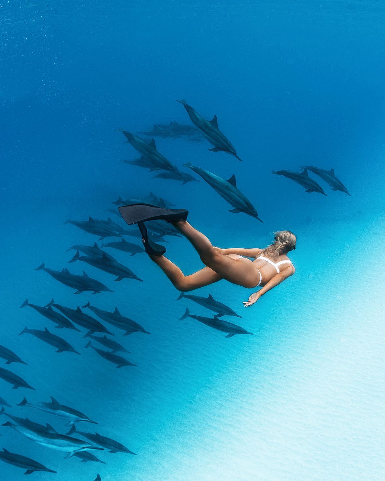 Anna-Lisa Christiane #13794