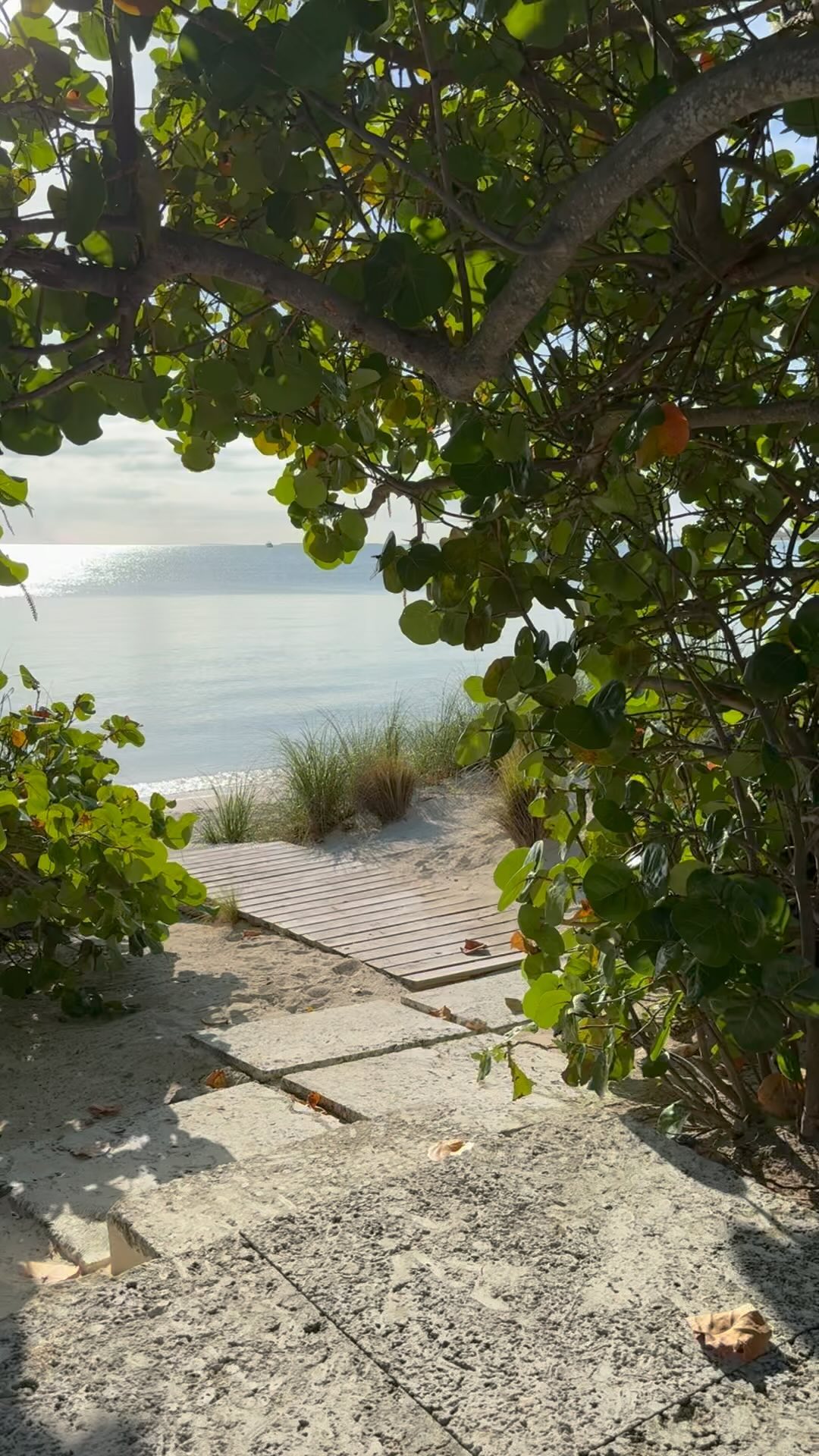 Kourtney Kardashian #52397