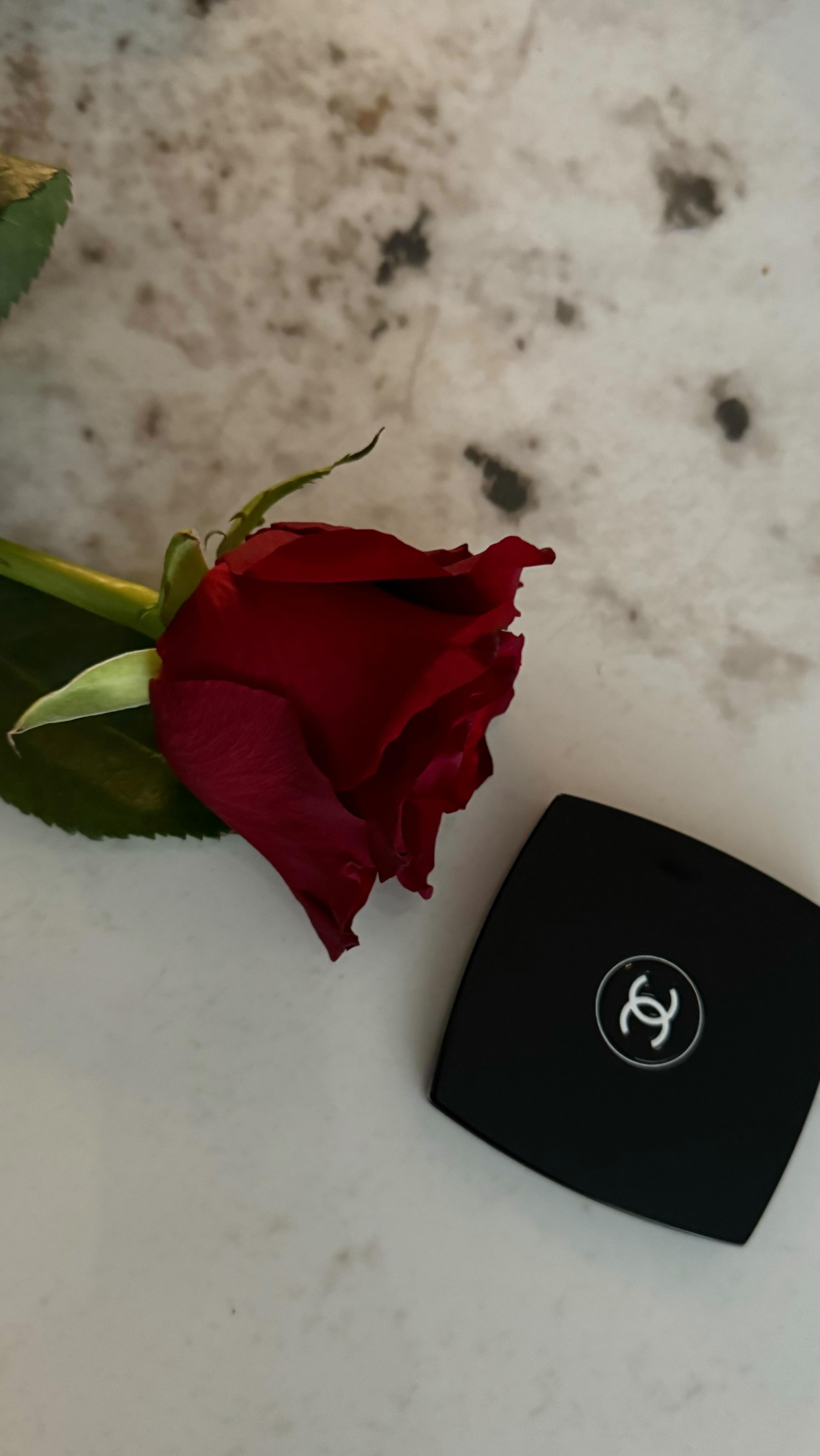 Grace Alexandria #14404