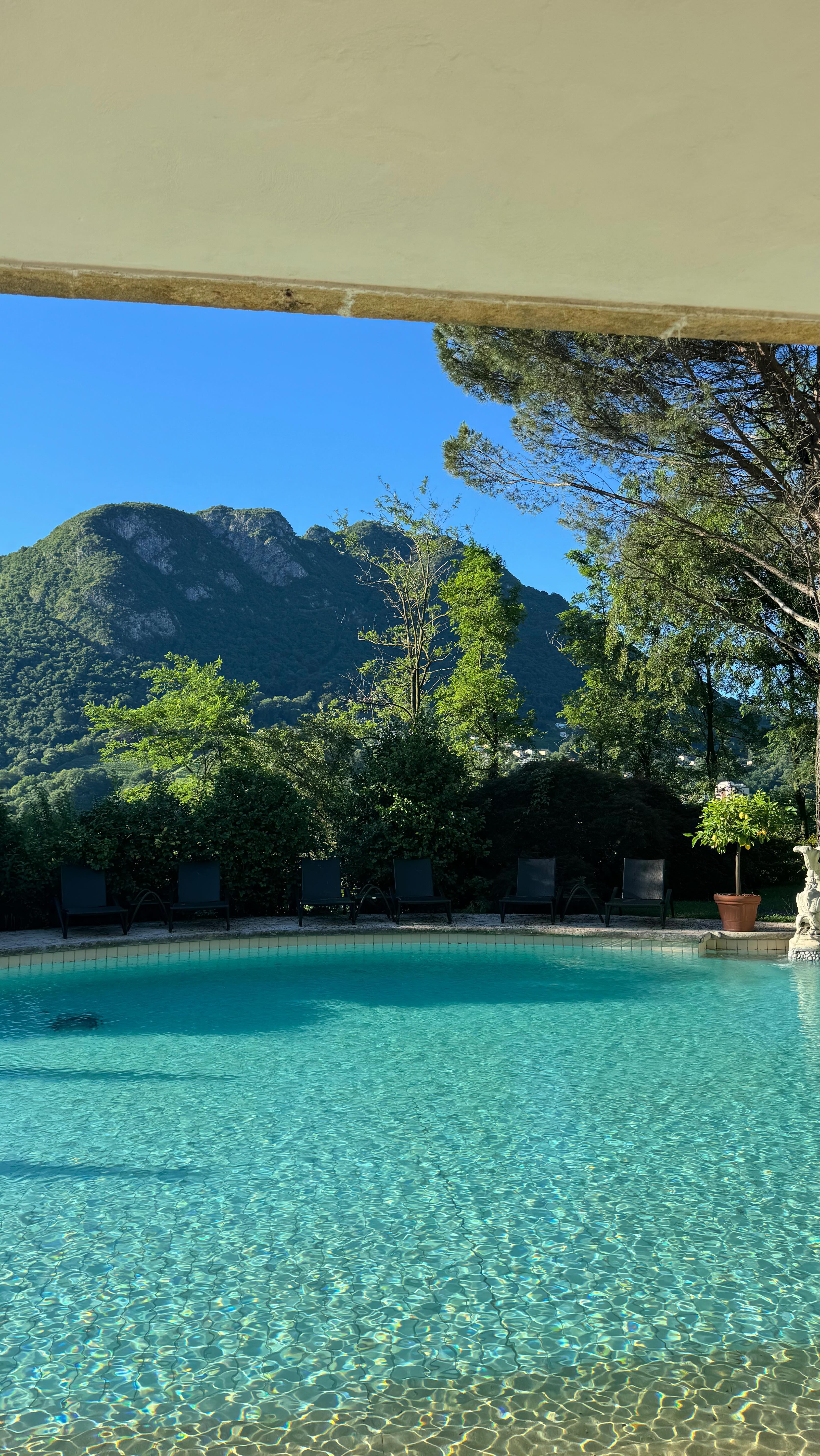 Grace Alexandria #14464