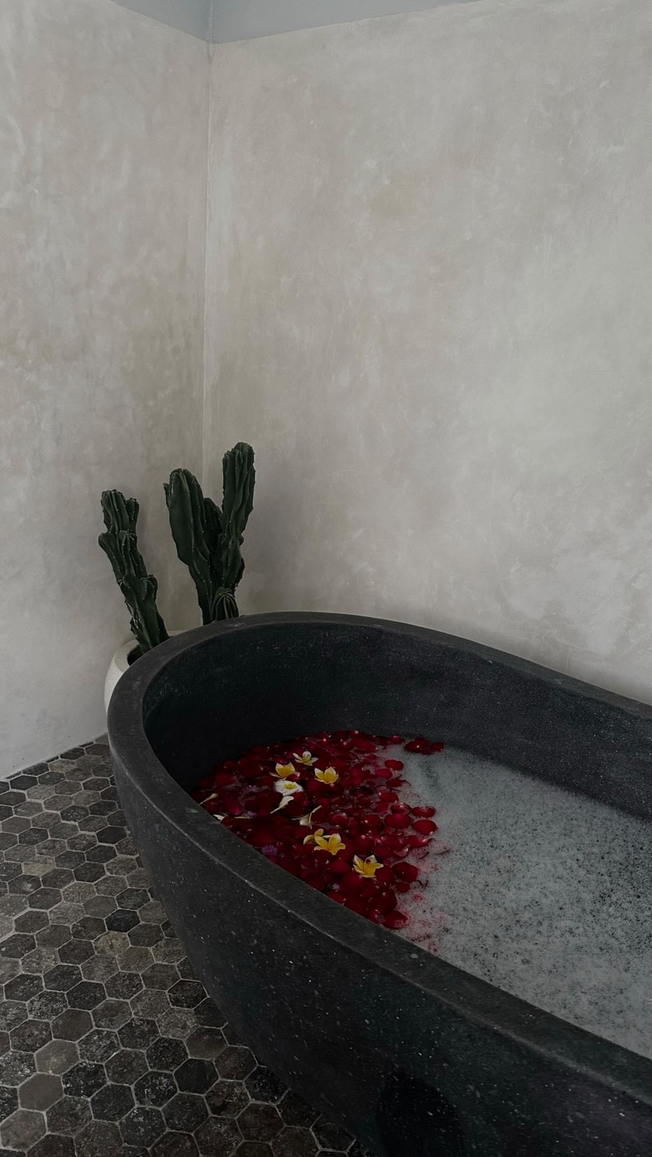 Grace Alexandria #14498