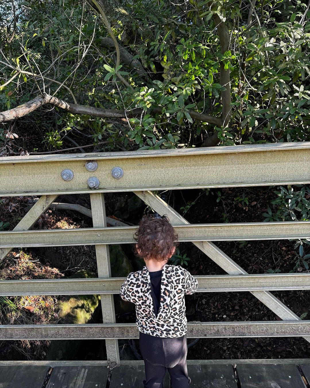 Priyanka Chopra #52979