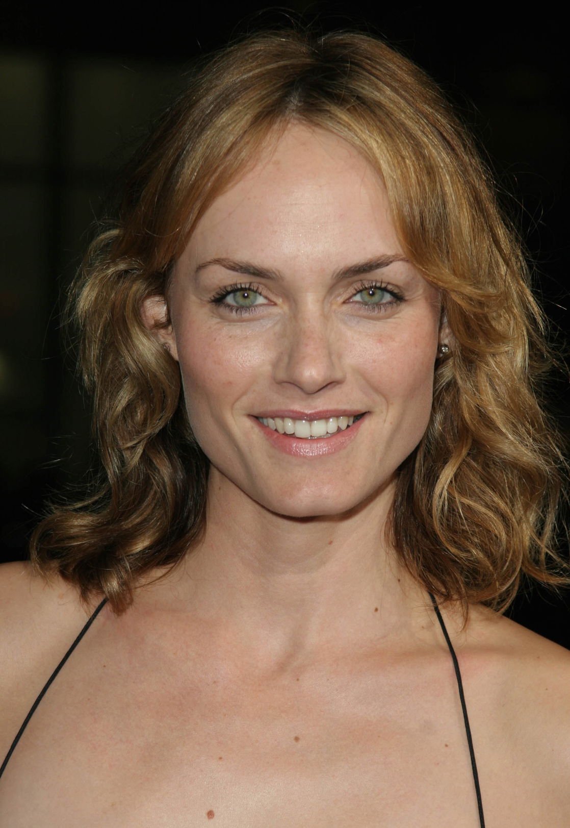 Amber Valletta #193281
