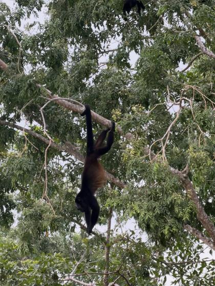 Eli Soto photo 195035