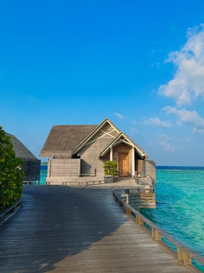 Pamela Reif photo 199814