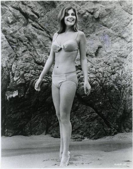 Cristina Ferrare #202333