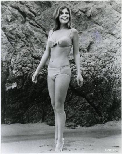 Cristina Ferrare photo 202333