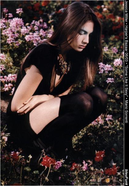 Jessica Miller photo 203282