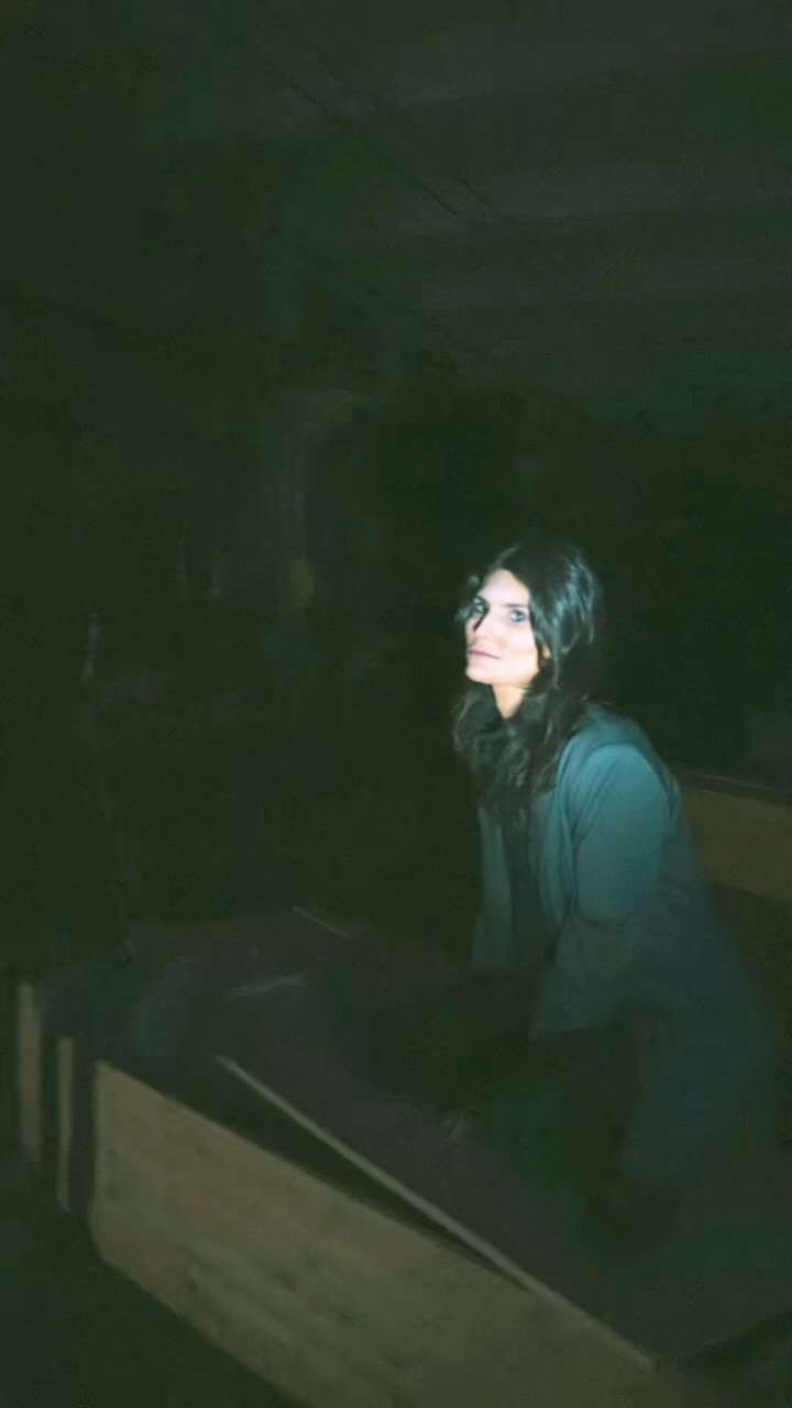 Yael Cohen Aris #1874