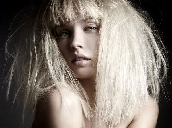 Lauren Brie Harding #203784