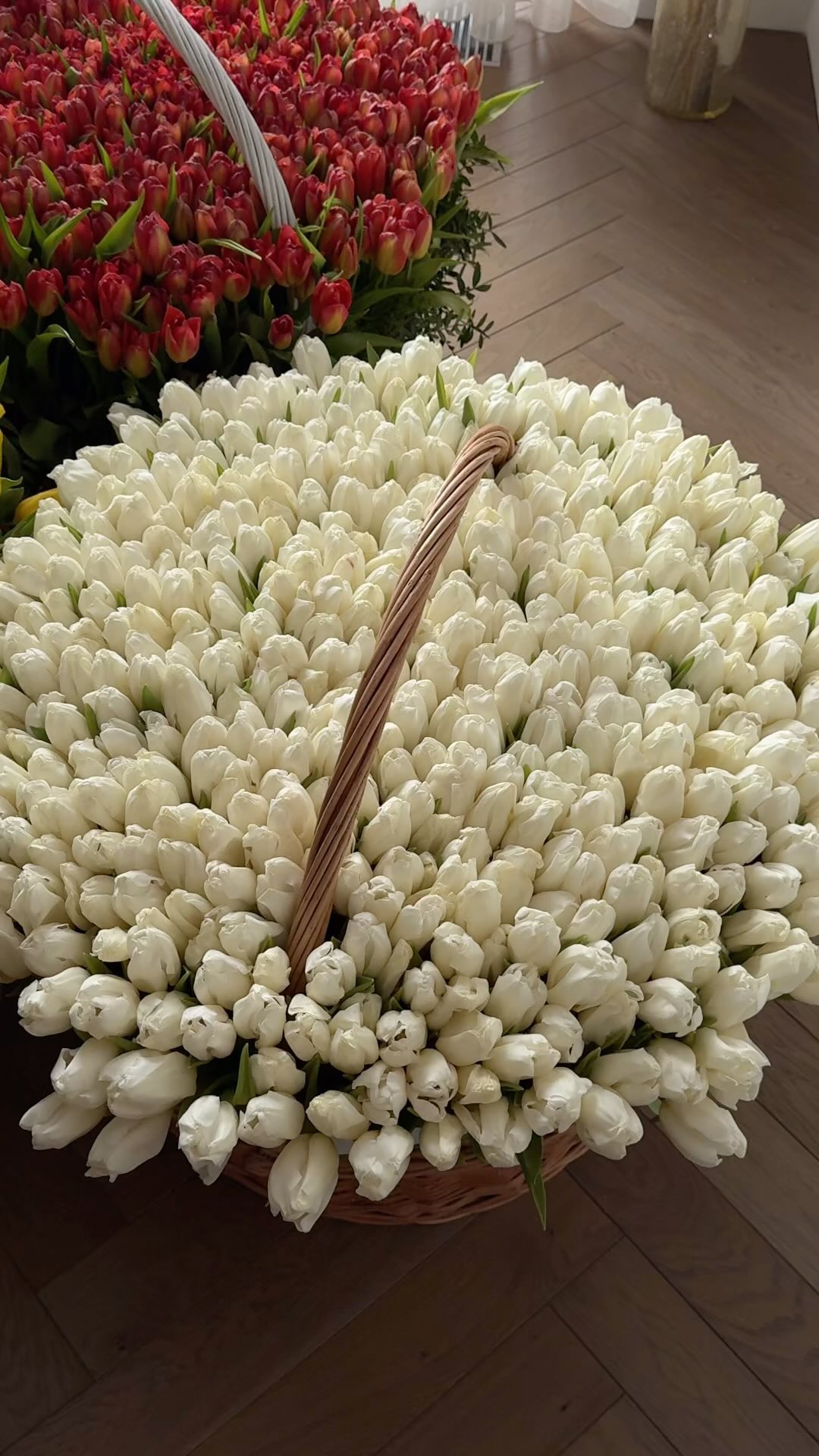 Farangiz Azizi #41667