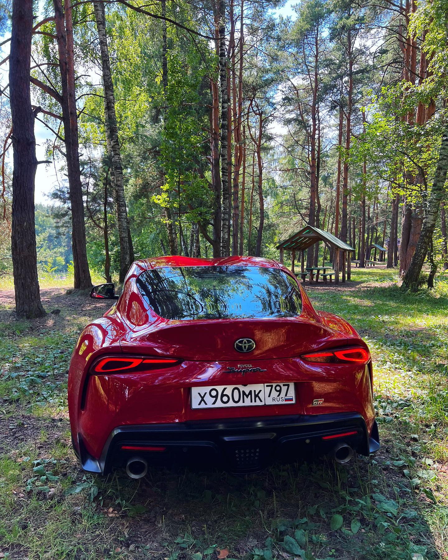 Sofia Temnikova #205306