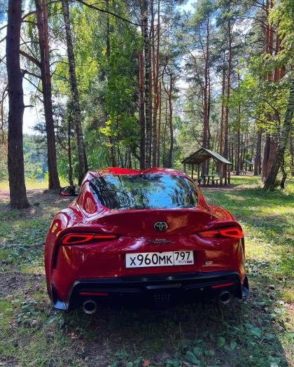 Sofia Temnikova photo 205306