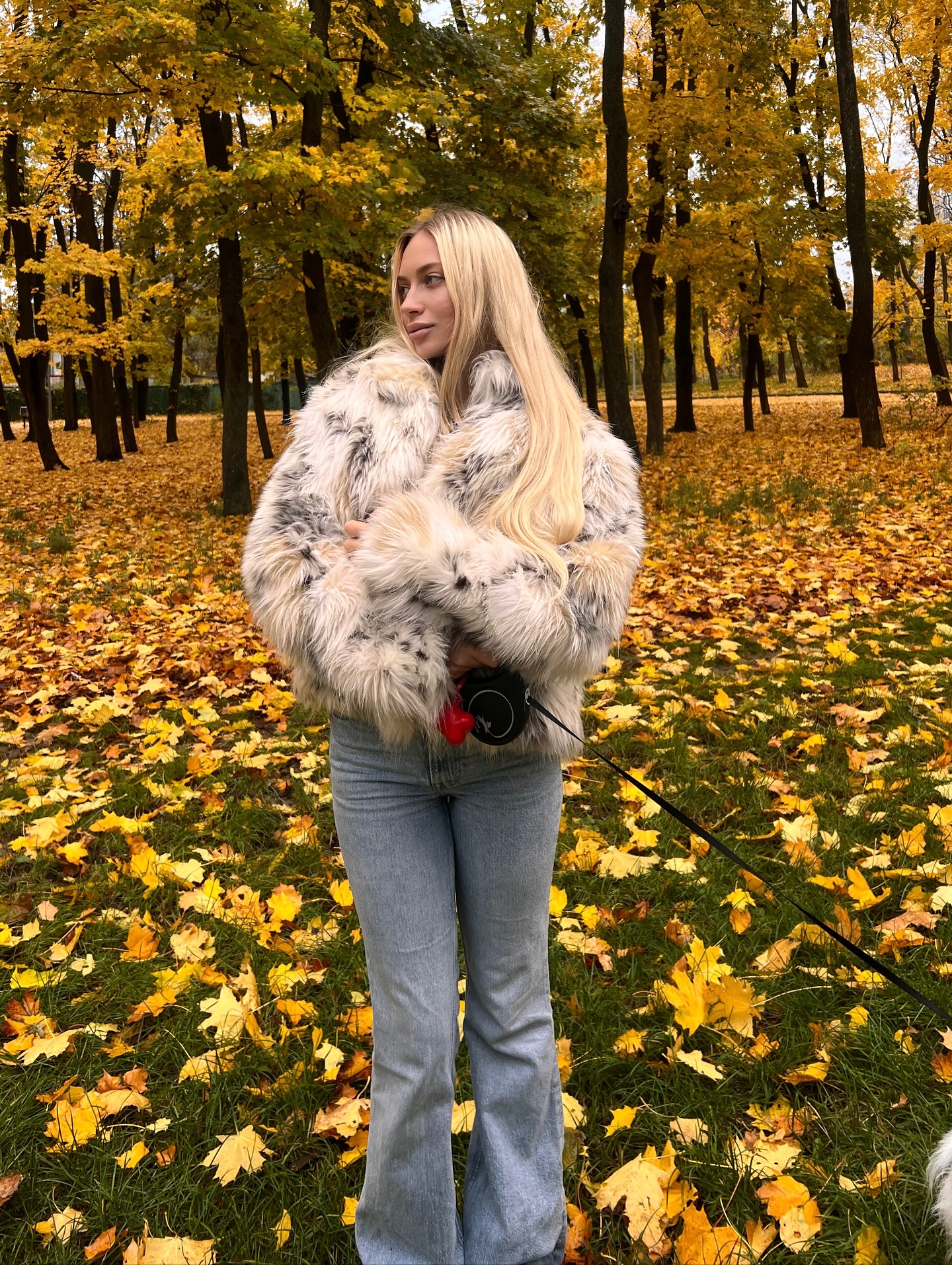 Arkhypova Oleksandra #207563