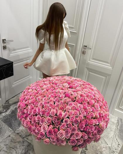 Marta Chernenko photo 15598