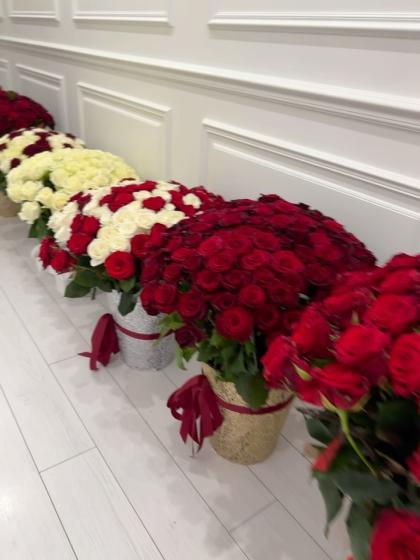 Marta Chernenko photo 15607