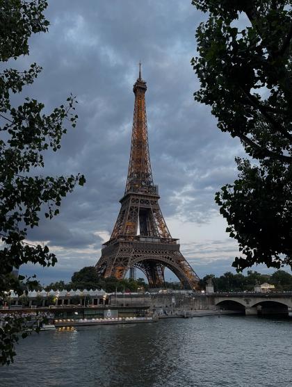 Polleen photo 209572