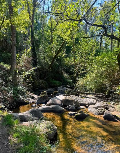 Polleen photo 209595